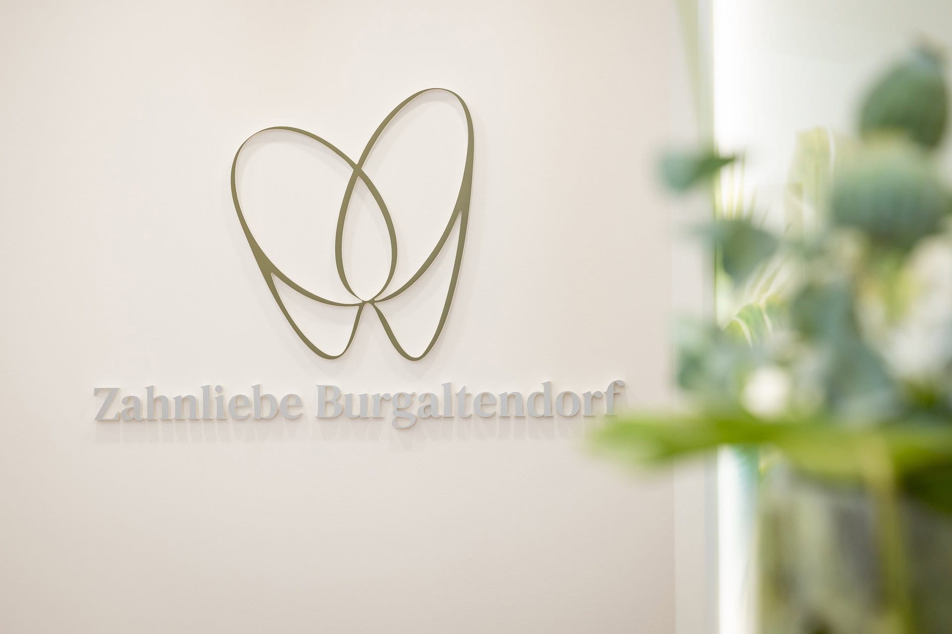03 marke zahnliebe burgaltendorf logo praxiswand